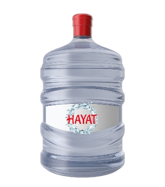 Hayat damacana su